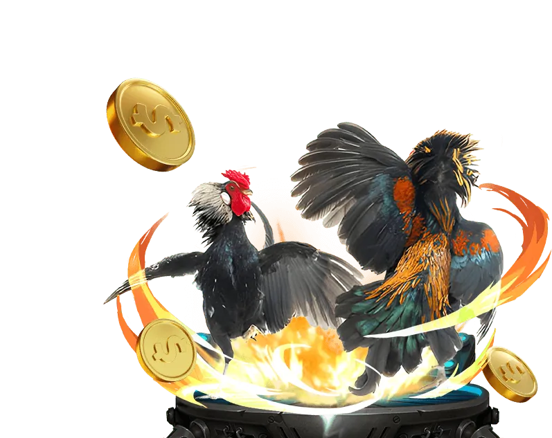 Đá gà trực tuyến Win55